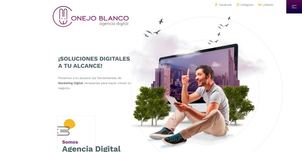 Mejores agencias SEO en Bogotá: ranking para posicionar tu empresa en Google SEO bog 2 1 Conejo blanco agencia seo bogotá